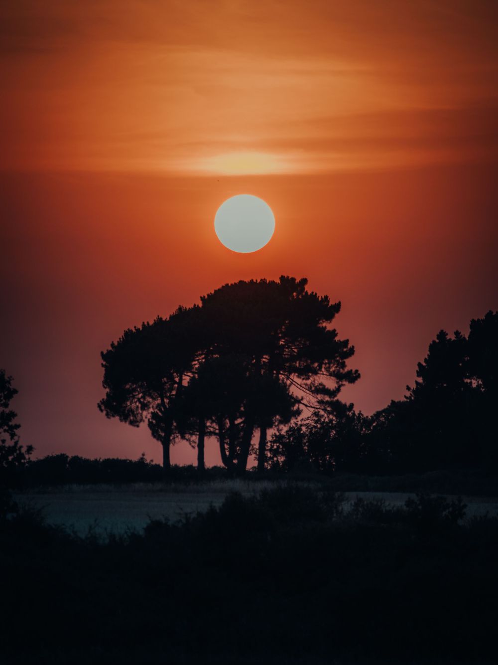 Paysage de Bretagne
